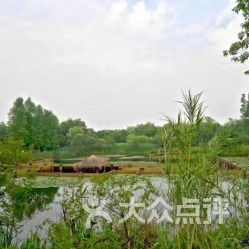 武汉濕地公園門票優惠攻略：省錢游園的陷阱與真实相