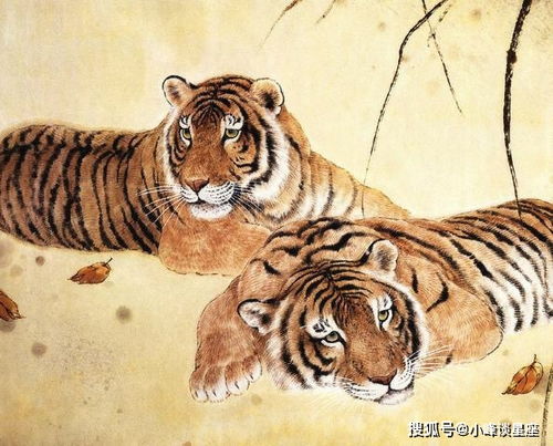 1950年属虎人2026年农历四月和11月运势分别是什么？