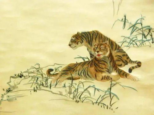 属虎人手机尾号1财运如何？适合改多少？