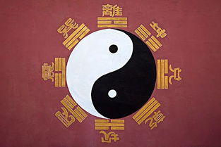 五、 对占卜可信度及科学性的批判性审视