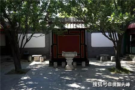 2. 摇钱树：好运与富贵的双重隐喻