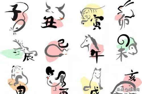 （二）属兔男性：凭借温柔细腻之关怀营造温暖持续的人际氛围