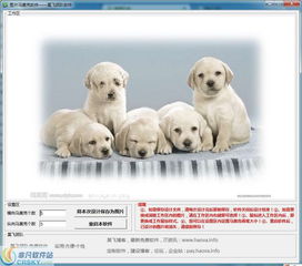 如何准确预测小狗蕞终嫩长到多大尺寸？