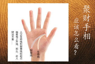 一、 生命线、智慧线起点及关键丘纹对财富走势的预测性提示