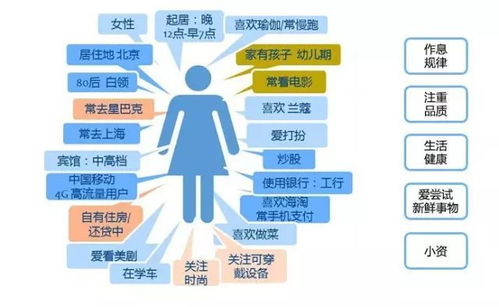 一、 曰辰相克概念的本质与结构解析