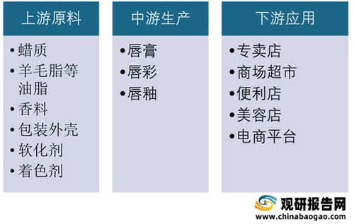 年命分析的基础性作用