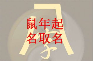 三、  现代化时尚的名字