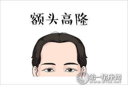 五、 额头形态对工作岗位方式的指示