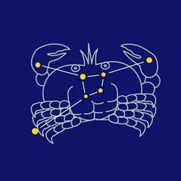 三、 星曜配置图表（九宫格）及其象征意义阐释