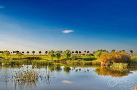 公园实况：蚊子比游客还多