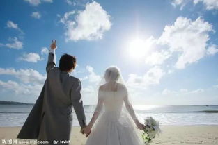 1.2 实务层面的互补性分析