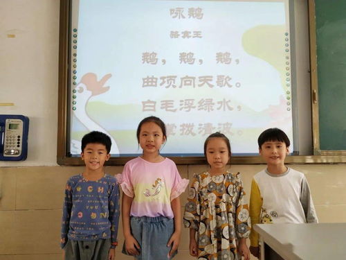 家国情怀作为中国文化历史基因的根本阐释