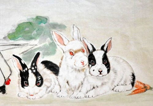 属兔和属鼠的结合，鼠年宝宝一生的财运和子女属相有何关联？