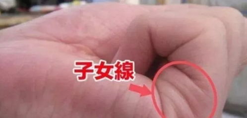 1. 感情线短而浅：