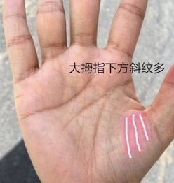 二、  手腕纹路与生命线末端的隐喻