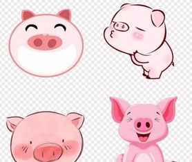 哪些生肖动物特别爱贪小便宜，喜欢占小便宜呢？