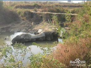 福德与德操的关联