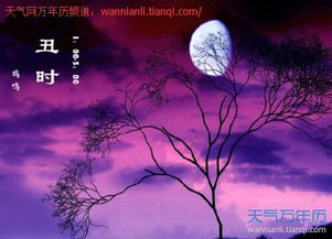三、 凌晨1–3点诞生者命理属性解析