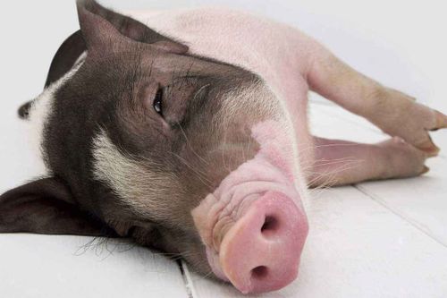 四、 谈情说爱？先打一架再说！