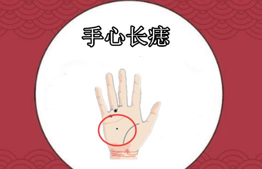 谁能掌握八字命理，实现掌权聚财的愿望？