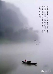 一、  认知范式的沉重塑：从情绪驱动到智慧性决策的跨越