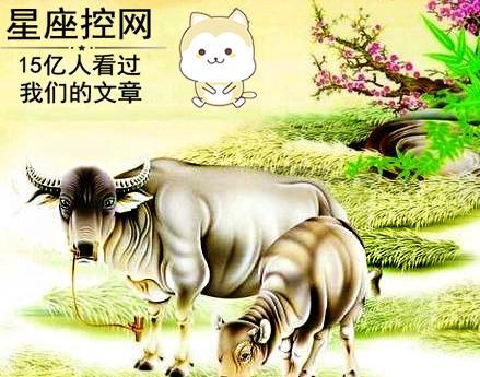 哪个生肖代表着辛勤劳作、付出艰辛的努力？