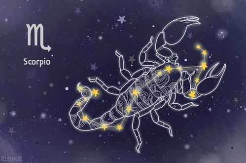 天蝎座今日运势如何，是否比第一星座还要好？