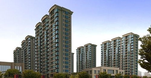 文献综述与理论框架