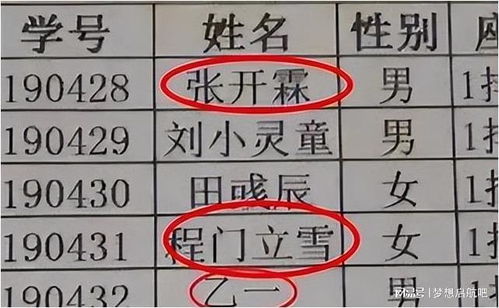 （一）简洁响亮且富有大气感