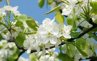 住宿推荐——把床搬进花海！🏕️🛏️🛌