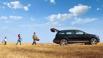 途中的意外惊喜&噪音 —— “道路艺术展” 🎨🖼️