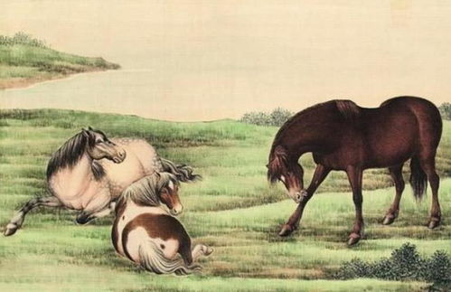 下落不明是哪一生肖？猜测是哪种生肖动物呢？