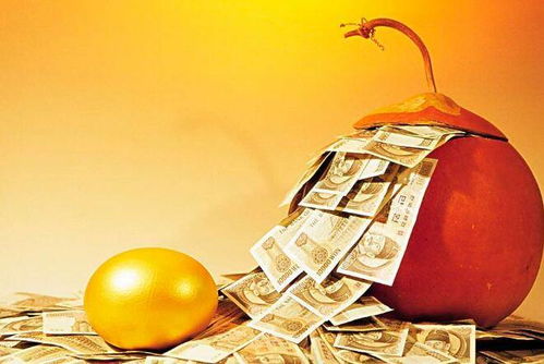 努力奋斗 vs 天上掉馅饼