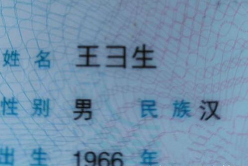 1. 布姓女孩的命名困境：一头雾水从哪下手？