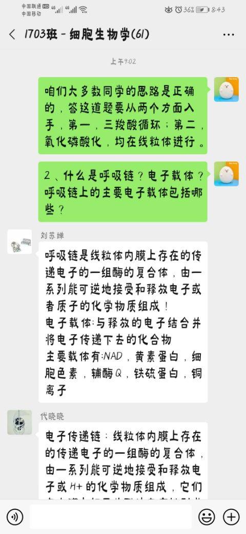 序论：玄学探究的现代化困境与认知误区