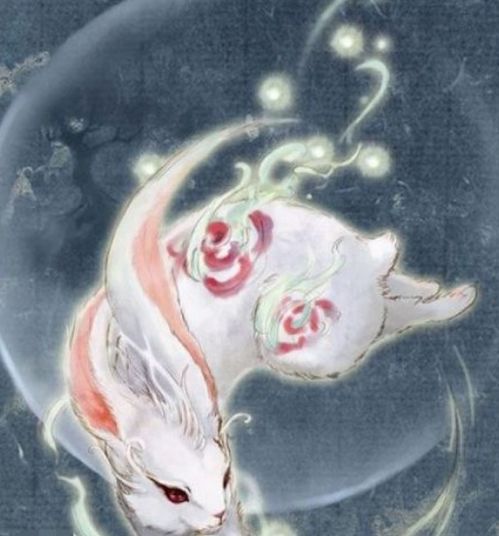 玉兔仙女从天降，她究竟是什么生肖？
