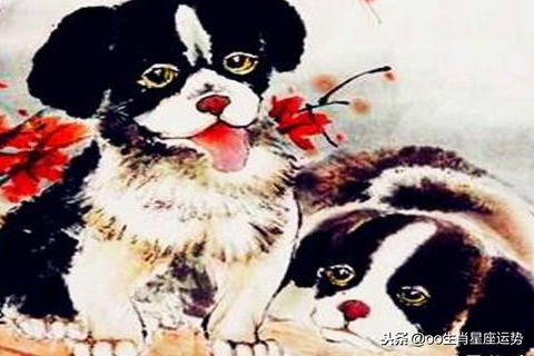 属狗女与属狗男八字合婚吗？最佳婚配属相是六合三合？