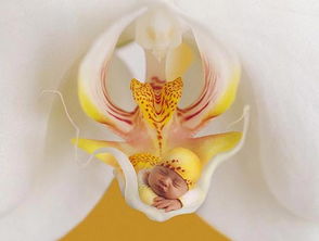 五个小魔王降临？别慌，先听听那个爸爸怎么说