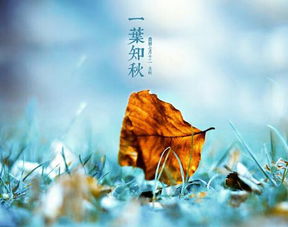 二、 立秋时节的风水周边环境及其对事业持续发展的潜移默化作用于