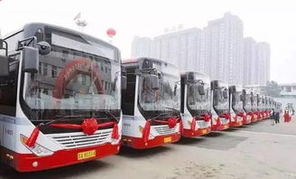 308路公交车：平民的英雄