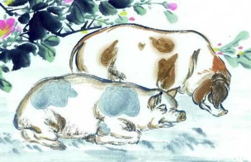 属猪人在2026年的运势究竟如何，这一年会有哪些吉凶变化？