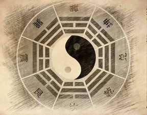 秦姓女孩五行八字取名——乱中有序的诗意灵气指南