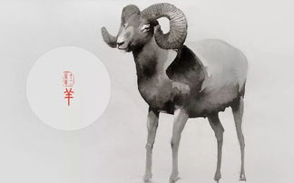 5月男虎女羊搬家吉日吉时，属羊男转运物件是什么？