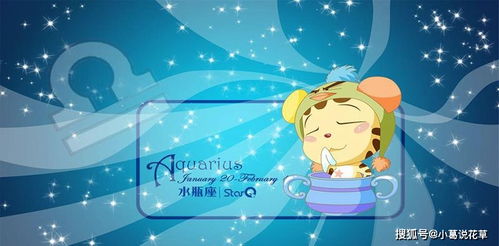 爱情调味料：酸甜苦辣咸