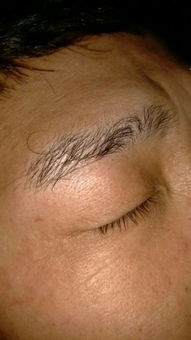 1.2 文化象征意义：祖先灵魂寄宿的可能性