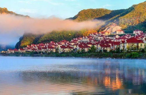 德庆的“著名”景点