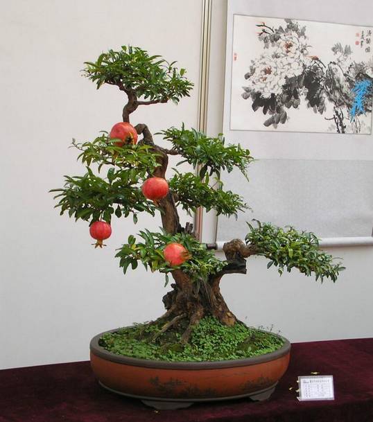 三、 不宜放置之方位及其导致的不良风水效应