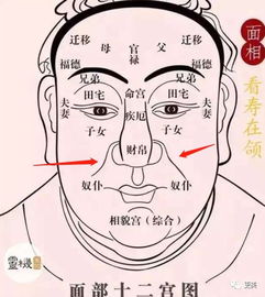 如何称呼眼神凶狠、面相凶狠的导师？