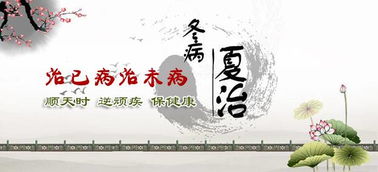 一、  三伏天的自然属性与人体生理变化的关联性探析