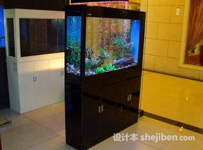 财位摆放香水或鱼缸，对财运有何影响？